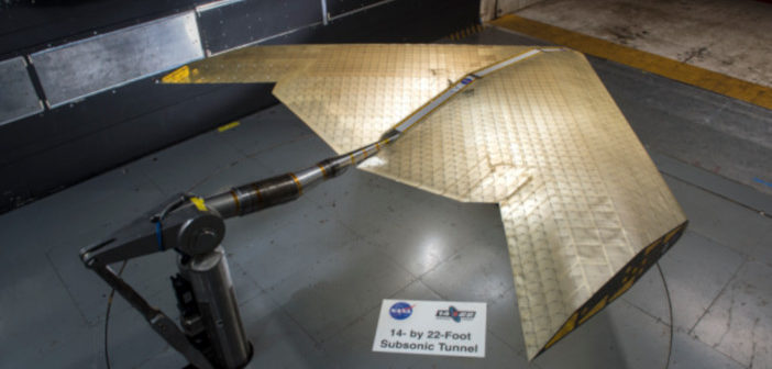 morpihng wing