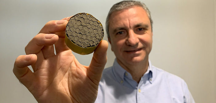 Professor Michele Meo