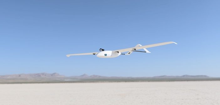 Albatross