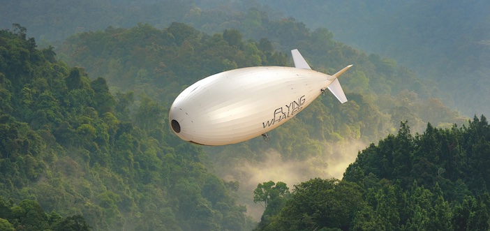 Flying whales