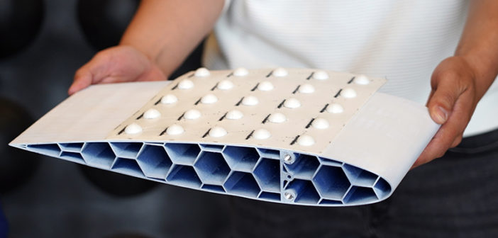 wing with domes