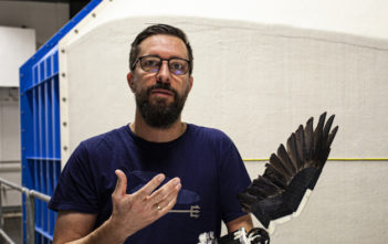 robotic wing and researcher