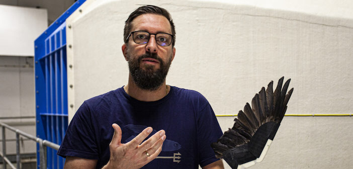 robotic wing and researcher