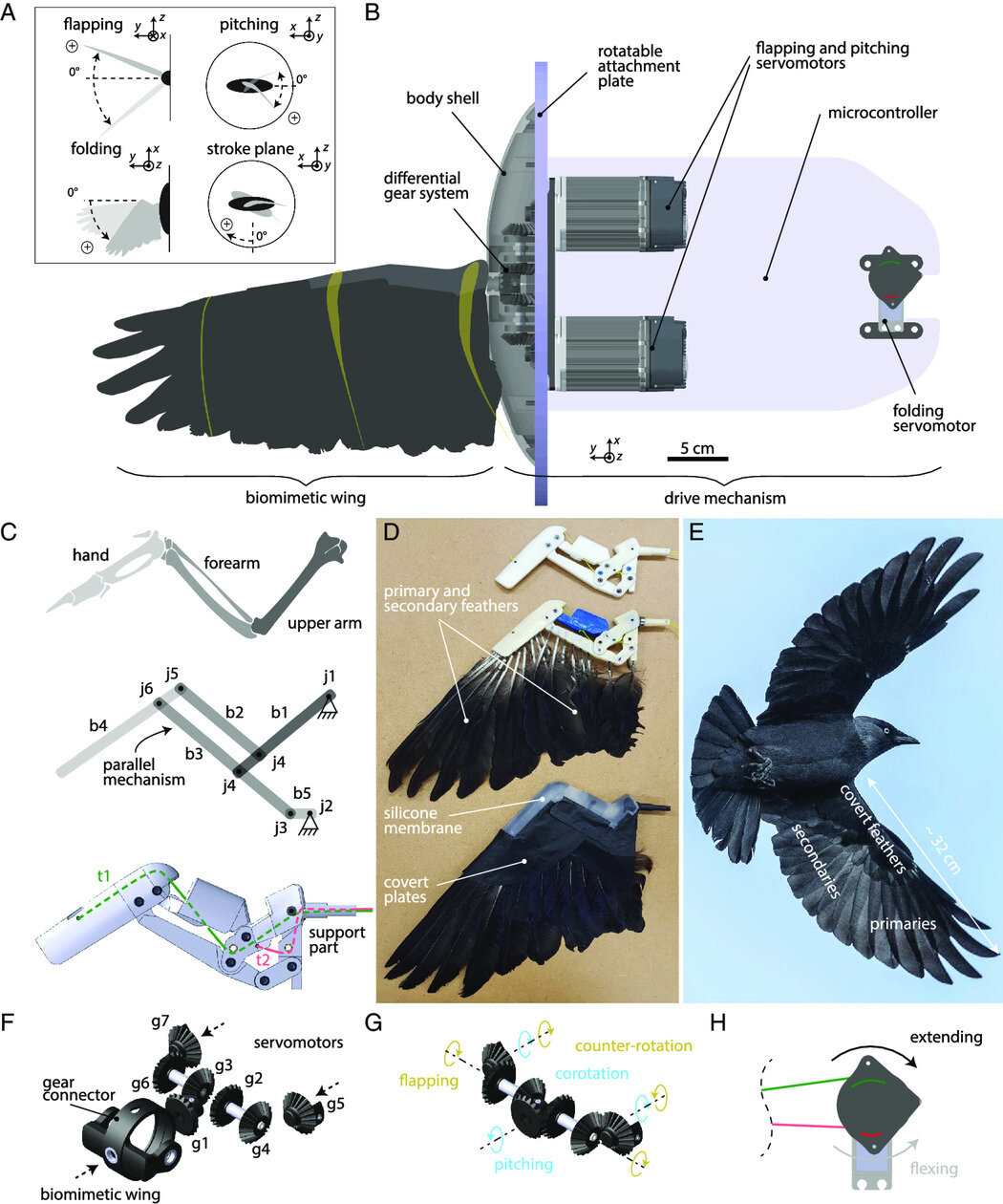 robotic wing mechanical design schematic