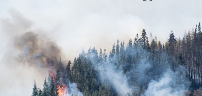 forest fire and drone